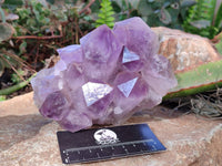 Natural Jacaranda Amethyst Quartz Clusters x 2 From Mumbwa, Zambia - Toprock Gemstones and Minerals 