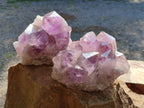 Natural Jacaranda Amethyst Quartz Clusters x 2 From Mumbwa, Zambia - Toprock Gemstones and Minerals 