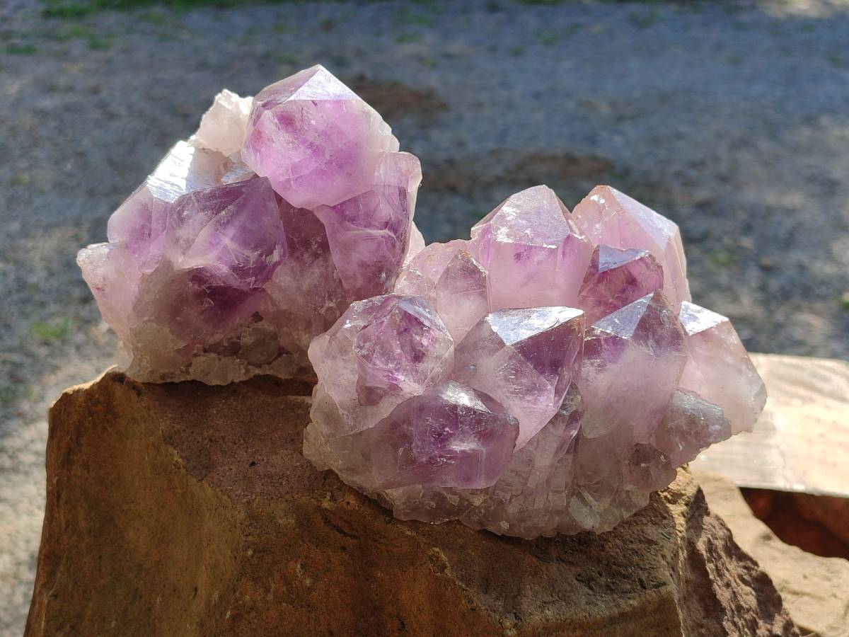 Natural Jacaranda Amethyst Quartz Clusters x 2 From Mumbwa, Zambia - Toprock Gemstones and Minerals 