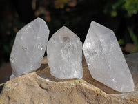 Natural Etched Quartz Crystals x 12 From Mpika, Zambia