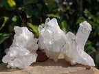 Natural Etched Quartz Crystals x 12 From Mpika, Zambia - Toprock Gemstones and Minerals 