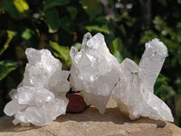 Natural Etched Quartz Crystals x 12 From Mpika, Zambia