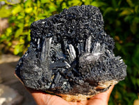 Natural Schorl Black Tourmaline Specimen x 1 From Erongo, Namibia