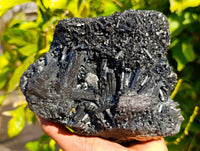 Natural Schorl Black Tourmaline Specimen x 1 From Erongo, Namibia