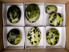 Polished Leopard Stone Free Forms x 7 From Nyanga, Zimbabwe - Toprock Gemstones and Minerals 