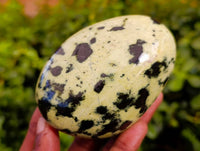 Polished Leopard Stone Free Forms x 7 From Nyanga, Zimbabwe