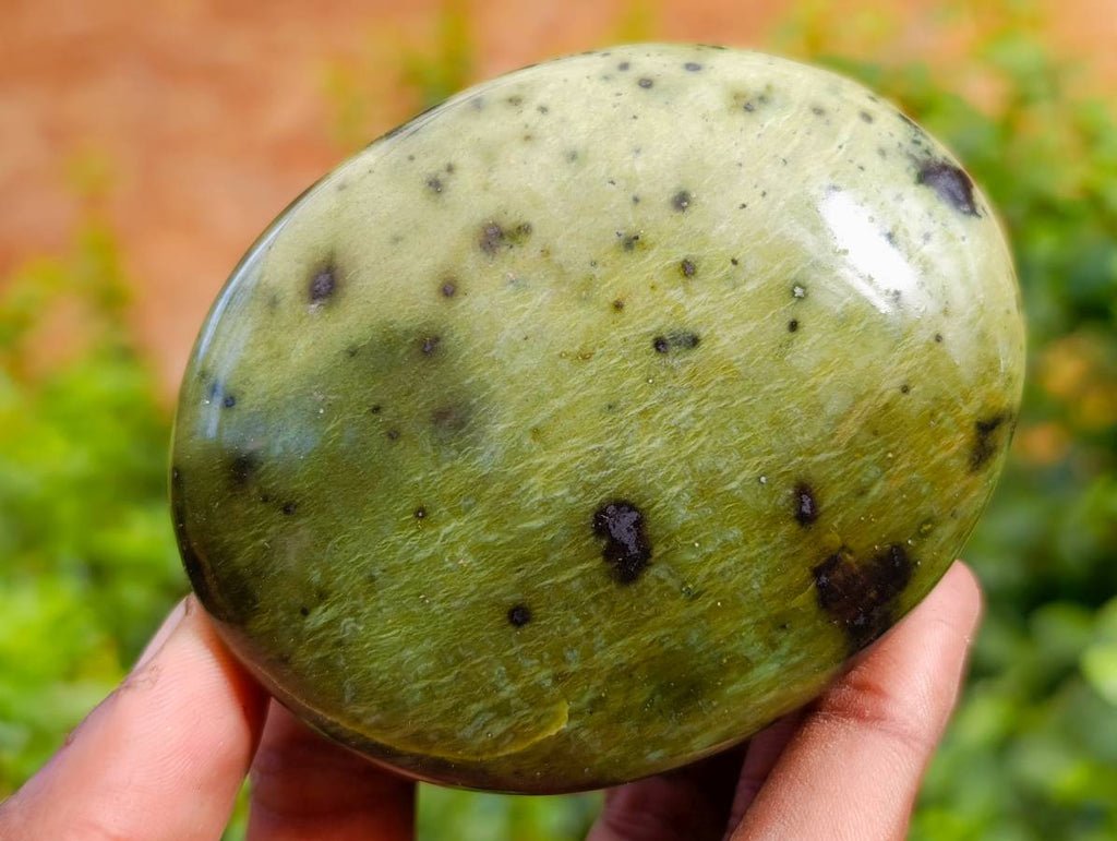 Polished Leopard Stone Free Forms x 7 From Nyanga, Zimbabwe - Toprock Gemstones and Minerals 