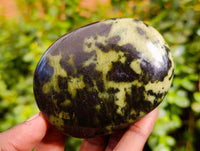 Polished Leopard Stone Free Forms x 7 From Nyanga, Zimbabwe
