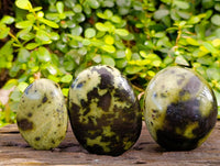 Polished Leopard Stone Free Forms x 7 From Nyanga, Zimbabwe