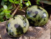 Polished Leopard Stone Free Forms x 7 From Nyanga, Zimbabwe