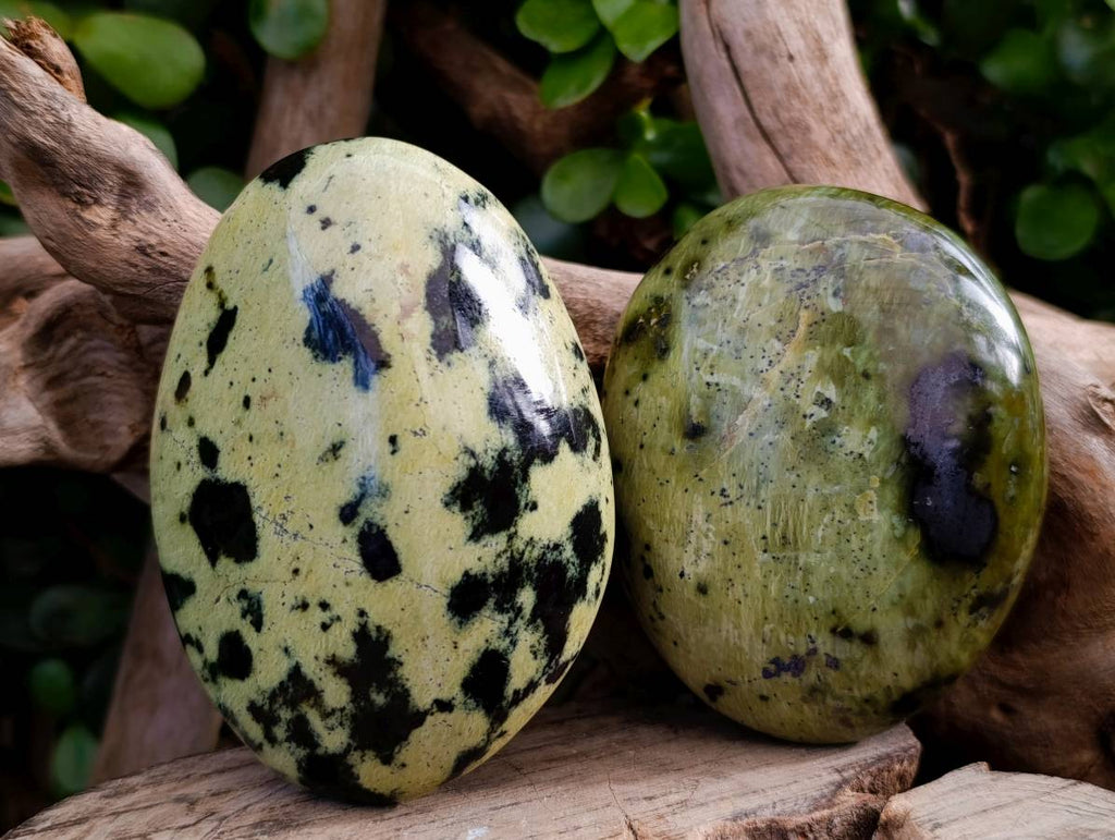 Polished Leopard Stone Free Forms x 7 From Nyanga, Zimbabwe - Toprock Gemstones and Minerals 