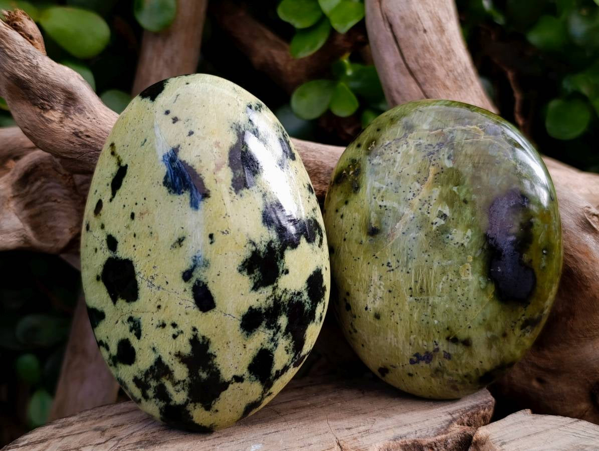 Polished Leopard Stone Free Forms x 7 From Nyanga, Zimbabwe - Toprock Gemstones and Minerals 