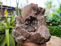 Natural Smokey Quartz Matrix Geode Specimen x 1 From Brandberg, Namibia