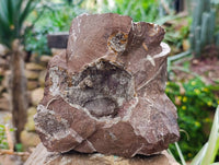 Natural Smokey Quartz Matrix Geode Specimen x 1 From Brandberg, Namibia