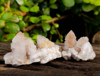 Natural Golden Limonite Coated Spirit Quartz Crystals x 35 From Boekenhouthoek, South Africa