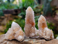 Natural Golden Limonite Coated Spirit Quartz Crystals x 35 From Boekenhouthoek, South Africa