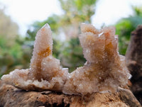 Natural Golden Limonite Coated Spirit Quartz Crystals x 35 From Boekenhouthoek, South Africa