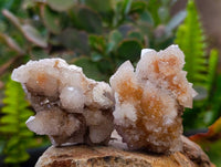 Natural Golden Limonite Coated Spirit Quartz Crystals x 35 From Boekenhouthoek, South Africa