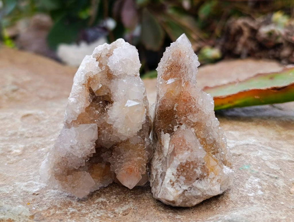 Natural Golden Limonite Coated Spirit Quartz Crystals x 35 From Boekenhouthoek, South Africa - Toprock Gemstones and Minerals 