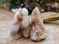 Natural Golden Limonite Coated Spirit Quartz Crystals x 35 From Boekenhouthoek, South Africa