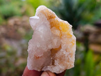 Natural Golden Limonite Coated Spirit Quartz Crystals x 35 From Boekenhouthoek, South Africa