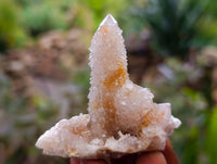 Natural Golden Limonite Coated Spirit Quartz Crystals x 35 From Boekenhouthoek, South Africa