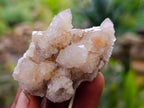 Natural Golden Limonite Coated Spirit Quartz Crystals x 35 From Boekenhouthoek, South Africa - Toprock Gemstones and Minerals 