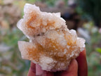 Natural Golden Limonite Coated Spirit Quartz Crystals x 35 From Boekenhouthoek, South Africa - Toprock Gemstones and Minerals 
