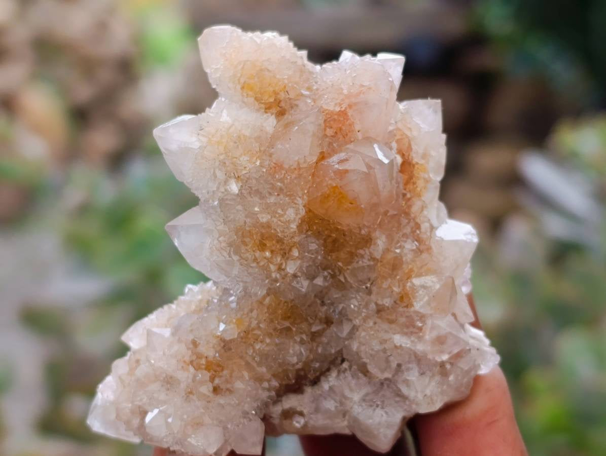 Natural Golden Limonite Coated Spirit Quartz Crystals x 35 From Boekenhouthoek, South Africa - Toprock Gemstones and Minerals 