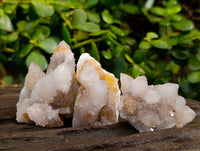 Natural Golden Limonite Coated Spirit Quartz Crystals x 35 From Boekenhouthoek, South Africa