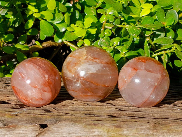 Polished Red Hematoid Quartz Spheres x 3 From Ambatondrazaka, Madagascar