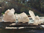 Natural Etched Quartz Crystals and Clusters x 12 From Mpika, Zambia - Toprock Gemstones and Minerals 