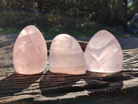 Polished Gemmy Star Rose Quartz Standing Free Forms x 4 Ambatondrazaka, Madagascar - Toprock Gemstones and Minerals 