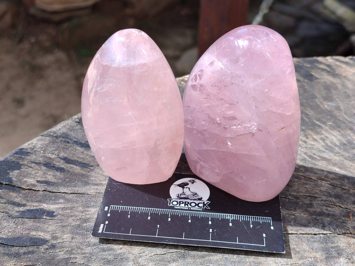 Polished Gemmy Star Rose Quartz Standing Free Forms x 4 Ambatondrazaka, Madagascar - Toprock Gemstones and Minerals 