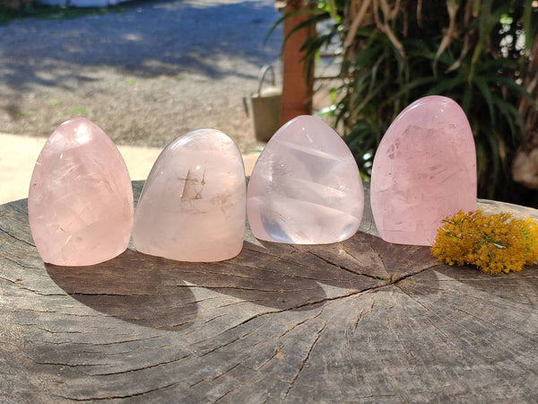 Polished Gemmy Star Rose Quartz Standing Free Forms x 4 Ambatondrazaka, Madagascar - Toprock Gemstones and Minerals 