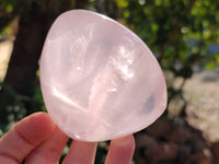 Polished Gemmy Star Rose Quartz Standing Free Forms x 4 Ambatondrazaka, Madagascar - Toprock Gemstones and Minerals 