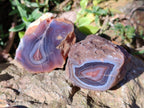 Polished On One Side Red Sashe River Agate Nodules x 12 From Zimbabwe - Toprock Gemstones and Minerals 