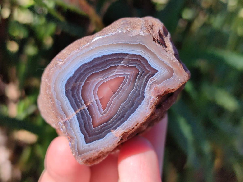 Polished On One Side Red Sashe River Agate Nodules x 12 From Zimbabwe - Toprock Gemstones and Minerals 