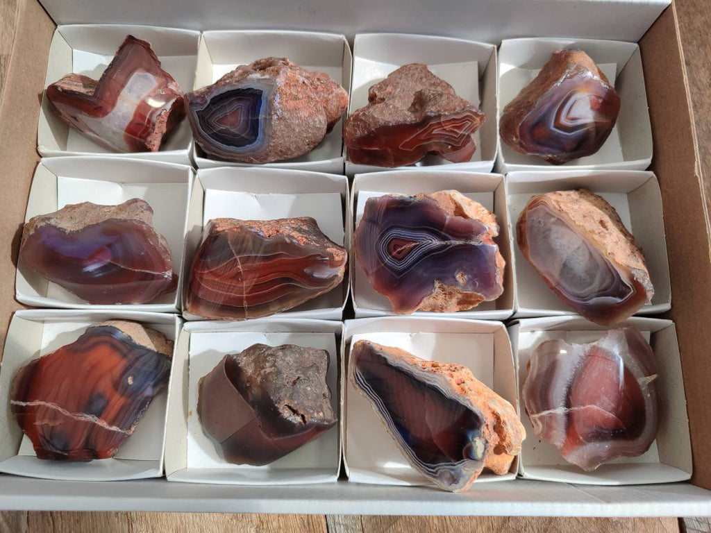 Polished On One Side Red Sashe River Agate Nodules x 12 From Zimbabwe - Toprock Gemstones and Minerals 