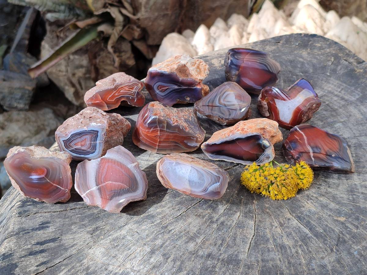 Polished On One Side Red Sashe River Agate Nodules x 12 From Zimbabwe - Toprock Gemstones and Minerals 