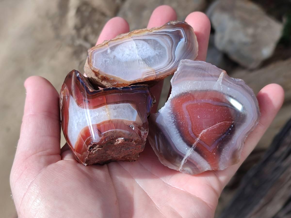 Polished On One Side Red Sashe River Agate Nodules x 12 From Zimbabwe - Toprock Gemstones and Minerals 