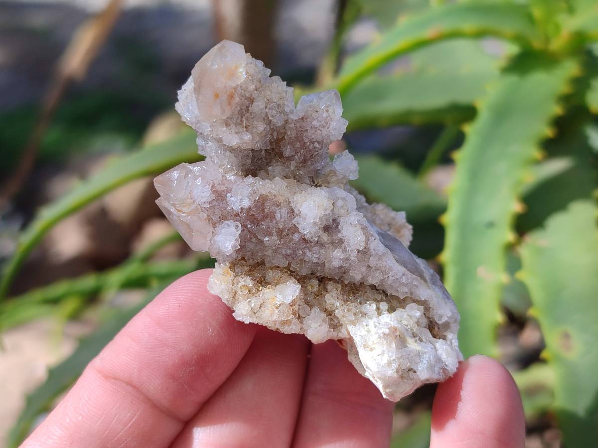 Natural Limonite Coated Fairy Spirit Quartz Clusters x 12 From Boekenhouthoek, South Africa - Toprock Gemstones and Minerals 