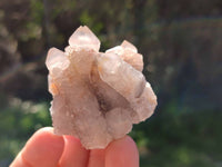 Natural Limonite Coated Fairy Spirit Quartz Clusters x 12 From Boekenhouthoek, South Africa - Toprock Gemstones and Minerals 