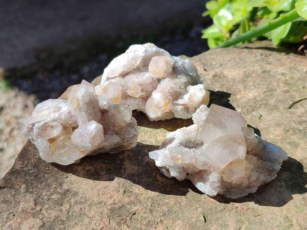 Natural Limonite Coated Fairy Spirit Quartz Clusters x 12 From Boekenhouthoek, South Africa - Toprock Gemstones and Minerals 