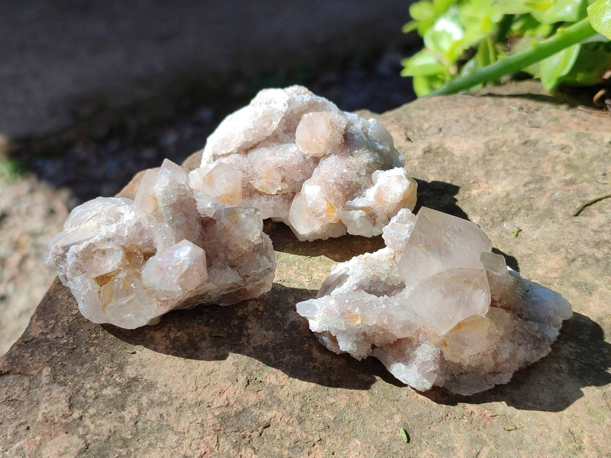 Natural Limonite Coated Fairy Spirit Quartz Clusters x 12 From Boekenhouthoek, South Africa - Toprock Gemstones and Minerals 