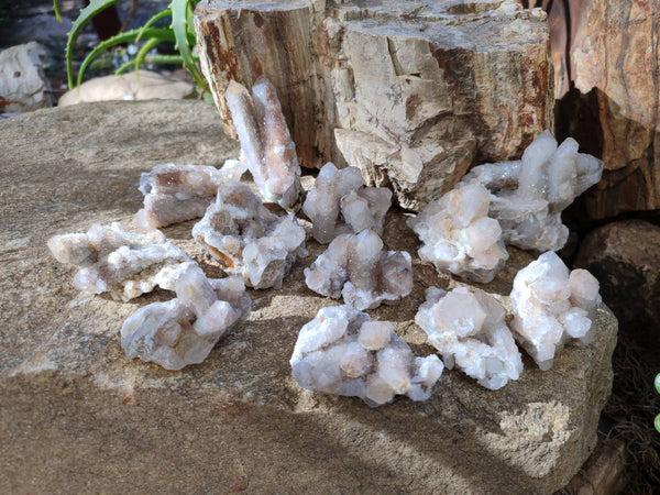 Natural Limonite Coated Fairy Spirit Quartz Clusters x 12 From Boekenhouthoek, South Africa