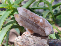 Natural Limonite Coated Fairy Spirit Quartz Clusters x 12 From Boekenhouthoek, South Africa - Toprock Gemstones and Minerals 