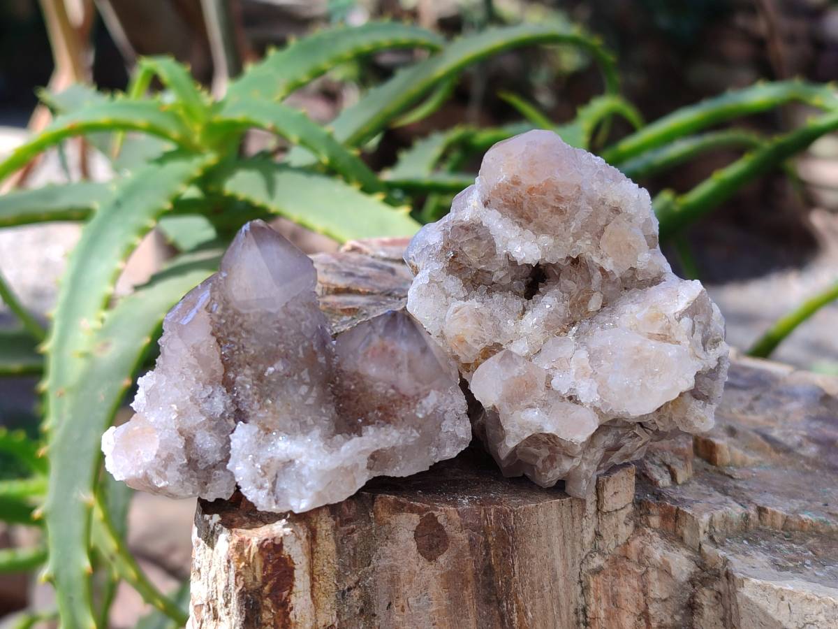 Natural Limonite Coated Fairy Spirit Quartz Clusters x 12 From Boekenhouthoek, South Africa - Toprock Gemstones and Minerals 