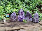 Polished Chevron Amethyst Points x 4 From Zambia - Toprock Gemstones and Minerals 