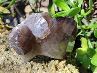 Natural Smokey Quartz Crystals x 4 From Zomba, Malawi - Toprock Gemstones and Minerals 